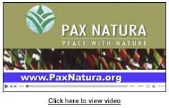 Click here to view video