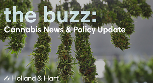 the buzz: Cannabis News & Policy Update | June 2025