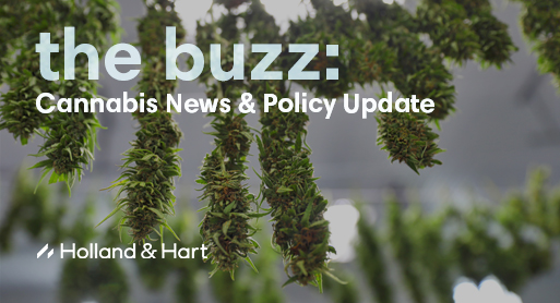 the buzz: Cannabis News & Policy Update | August 2026