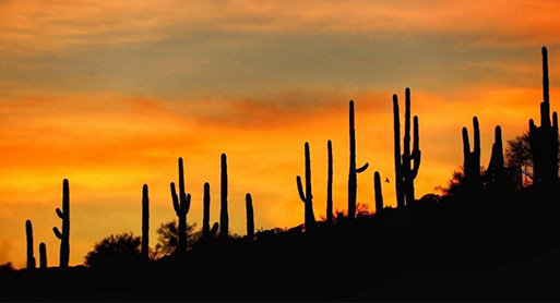 Siting Energy and Transmission Line Projects in Arizona
