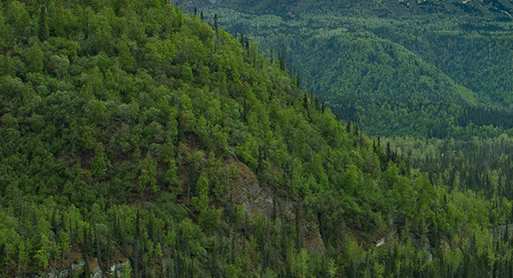 Holland & Hart Advises Barrick Mining Corporation on $1 Billion Sale of 50% Interest in Donlin Gold Project